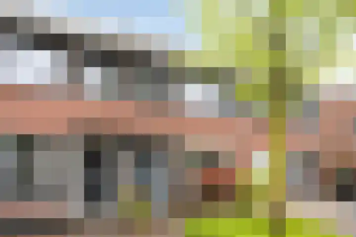 Zonnedauw 43 Schaijk thumbnail 4