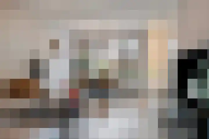 Zonnedauw 43 Schaijk thumbnail 5