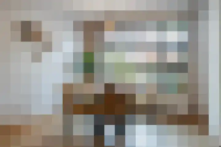 Zonnedauw 43 Schaijk thumbnail 7