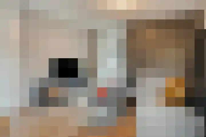 Zonnedauw 43 Schaijk thumbnail 9