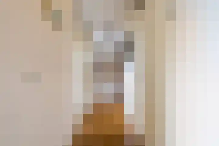 Zonnedauw 45 Papendrecht thumbnail 10