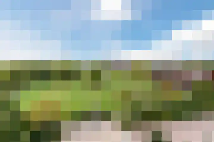 Zonnedauw 45 Papendrecht thumbnail 22