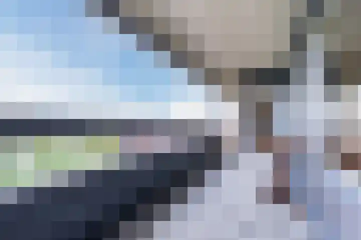 Zonnedauw 45 Papendrecht thumbnail 23
