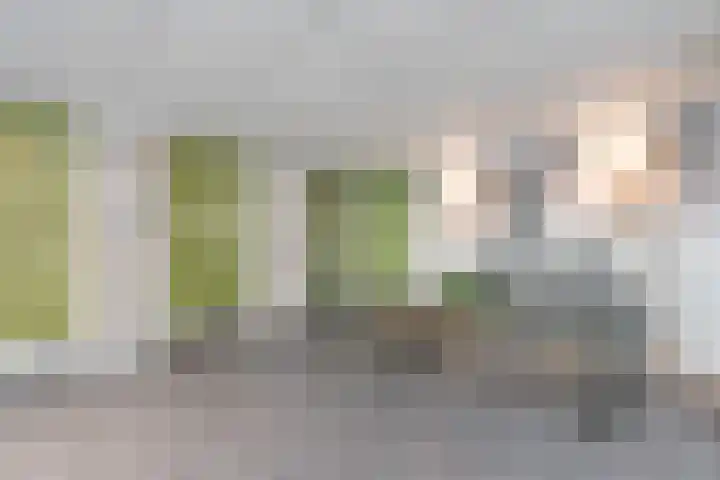 Zonnedauw 45 Papendrecht thumbnail 25