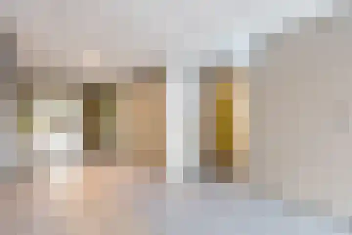 Zonnedauw 45 Papendrecht thumbnail 26