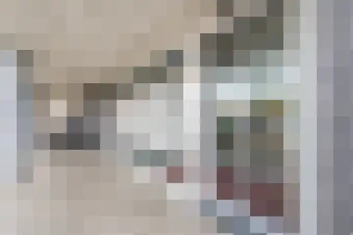 Zonnedauw 45 Papendrecht thumbnail 27