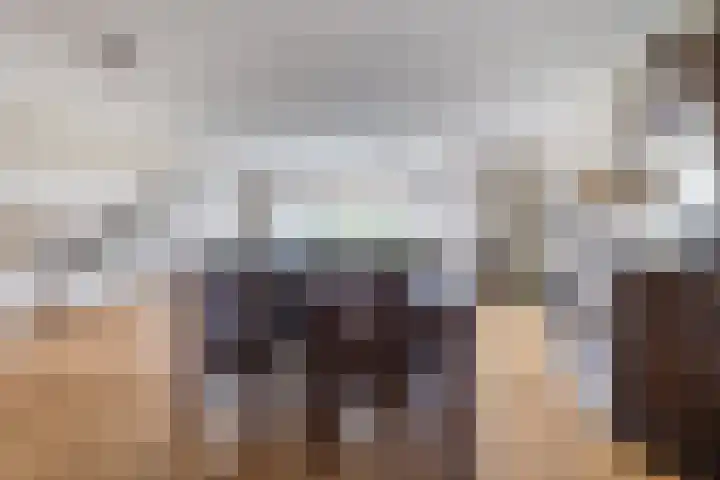 Zonnedauw 45 Papendrecht thumbnail 6
