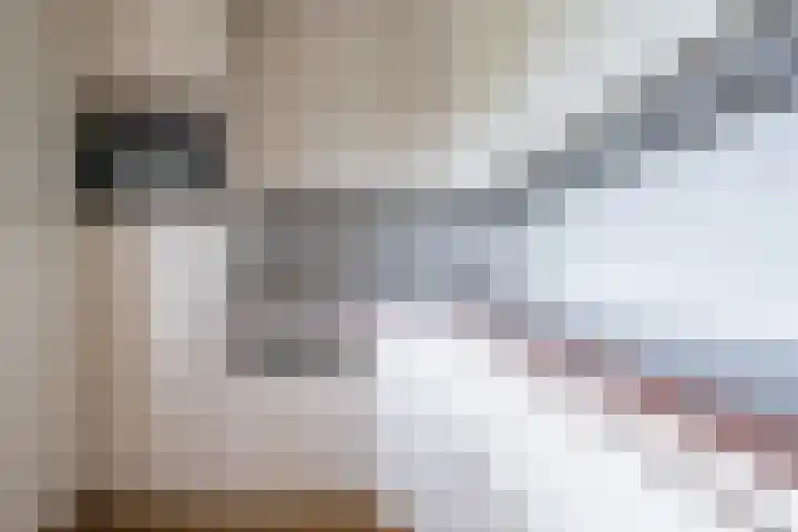 Zonnedauw 45 Papendrecht thumbnail 8