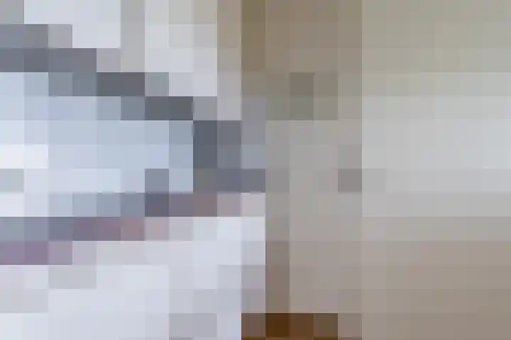 Zonnedauw 45 Papendrecht thumbnail 9