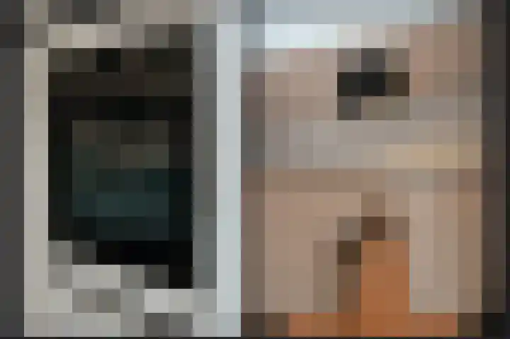Zonnedauw 46 Tiel thumbnail 11