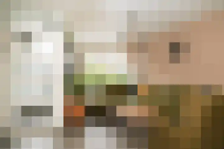 Zonnedauw 46 Tiel thumbnail 12