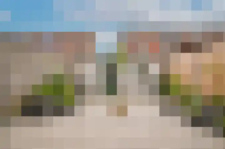 Zonnedauw 46 Tiel thumbnail 24