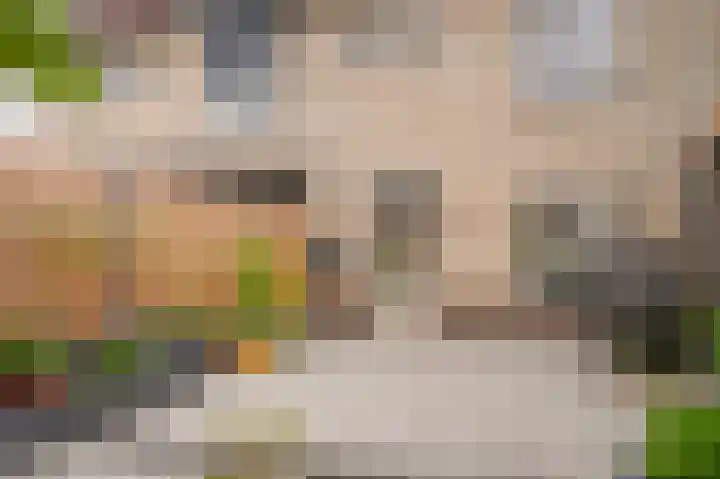 Zonnedauw 46 Tiel thumbnail 26