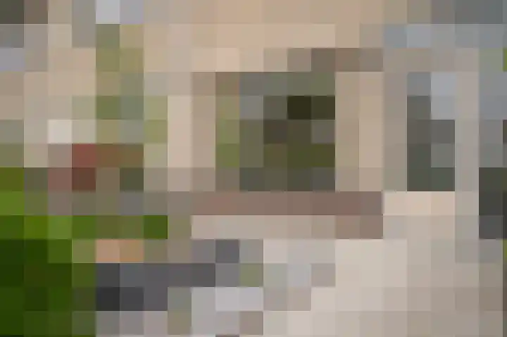 Zonnedauw 46 Tiel thumbnail 27