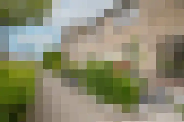 Zonnedauw 46 Tiel thumbnail 28