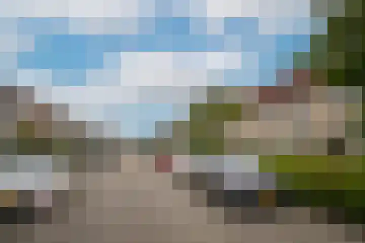Zonnedauw 46 Tiel thumbnail 29
