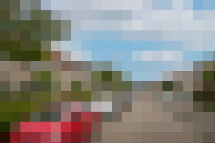 Zonnedauw 46 Tiel thumbnail 30