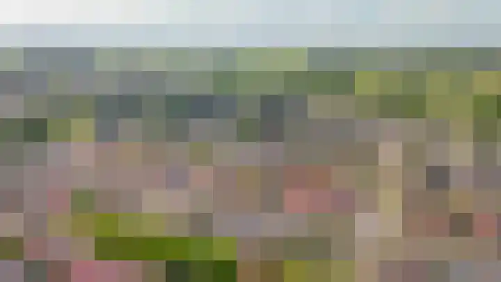 Zonnedauw 46 Tiel thumbnail 32