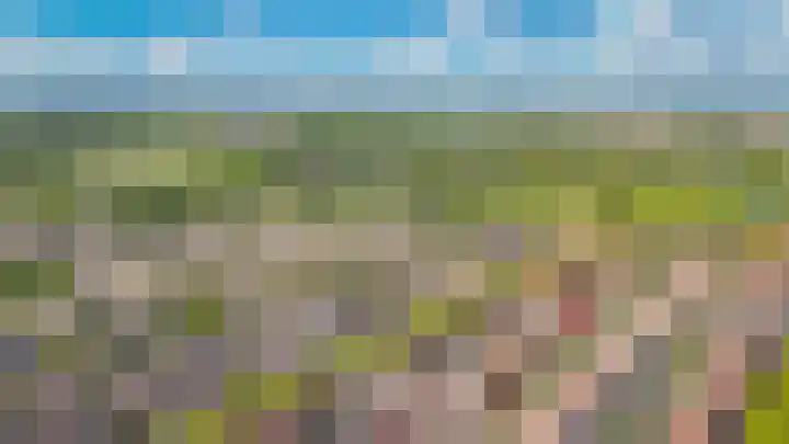 Zonnedauw 46 Tiel thumbnail 33