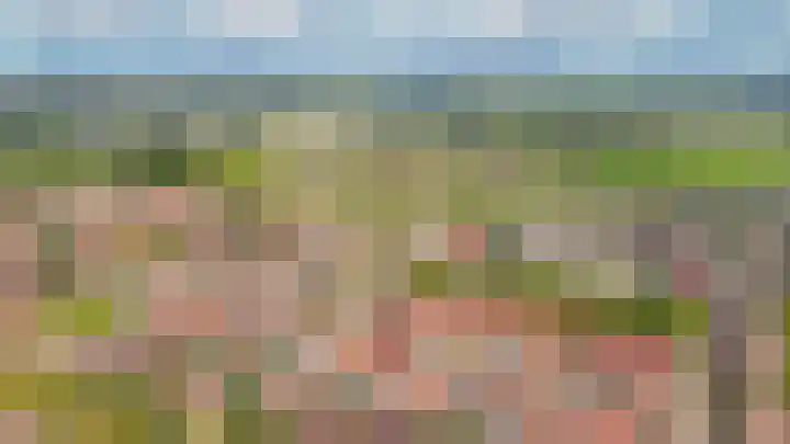 Zonnedauw 46 Tiel thumbnail 34