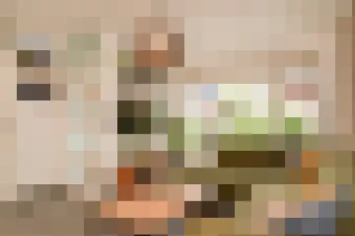 Zonnedauw 46 Tiel thumbnail 8