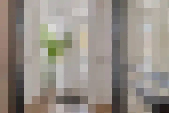 Zonnedauw 51 Tiel thumbnail 10