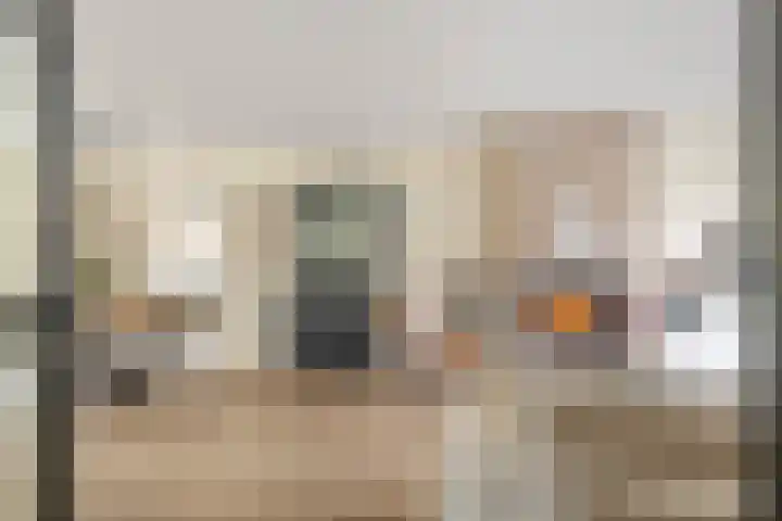 Zonnedauw 51 Tiel thumbnail 11