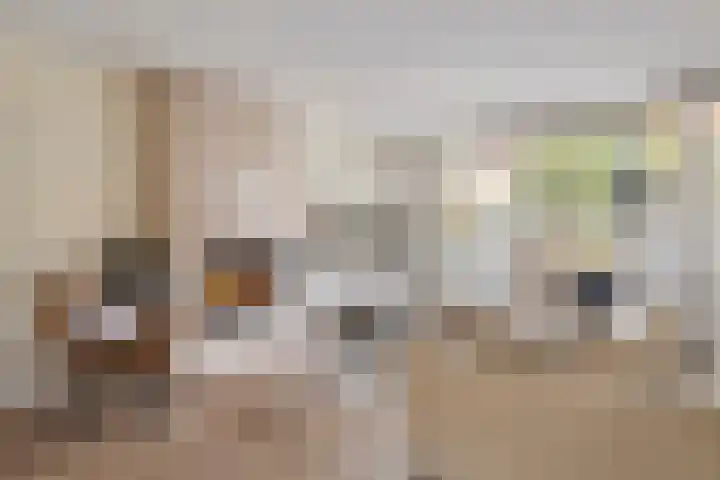 Zonnedauw 51 Tiel thumbnail 12