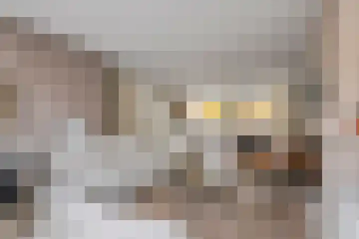 Zonnedauw 51 Tiel thumbnail 13