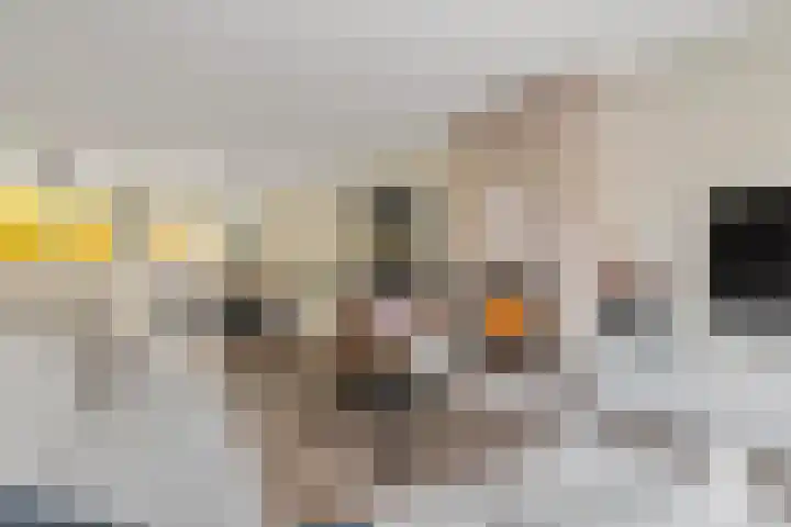 Zonnedauw 51 Tiel thumbnail 14