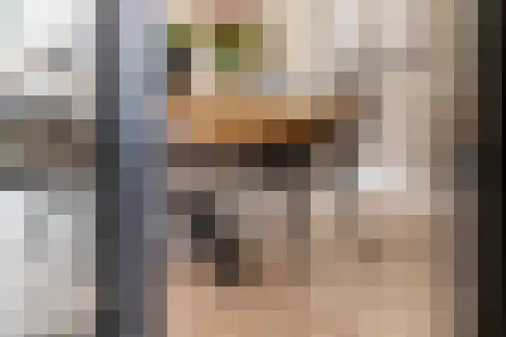 Zonnedauw 51 Tiel thumbnail 16