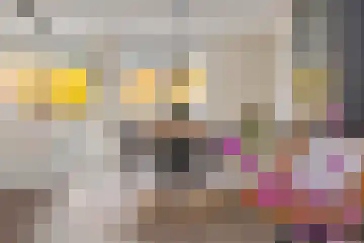 Zonnedauw 51 Tiel thumbnail 17