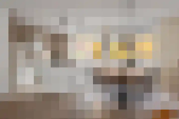 Zonnedauw 51 Tiel thumbnail 18