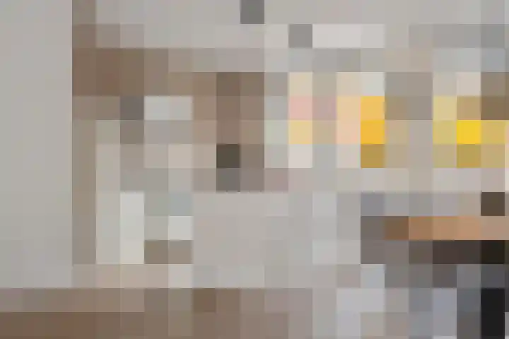 Zonnedauw 51 Tiel thumbnail 19