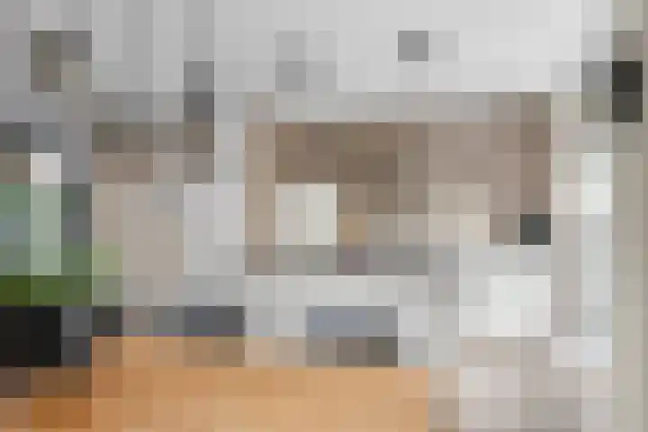 Zonnedauw 51 Tiel thumbnail 20