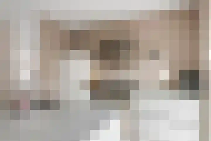 Zonnedauw 51 Tiel thumbnail 21