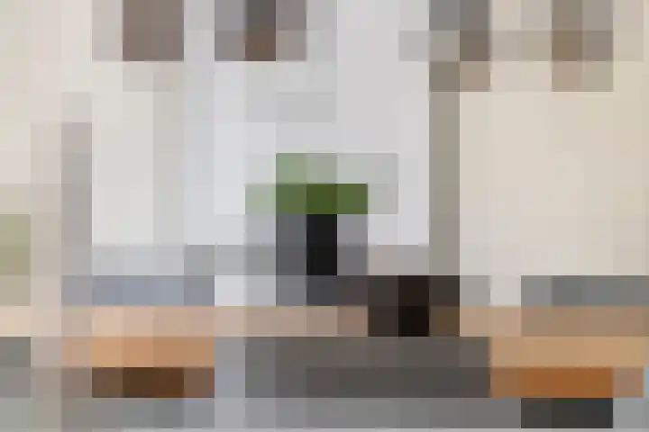 Zonnedauw 51 Tiel thumbnail 24