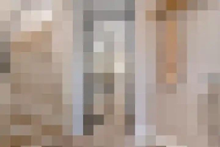 Zonnedauw 51 Tiel thumbnail 27