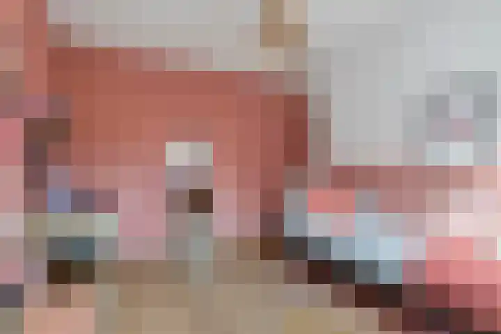 Zonnedauw 51 Tiel thumbnail 29