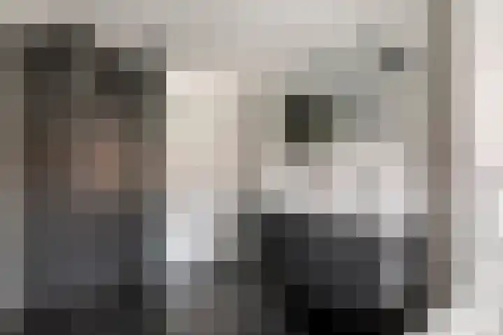 Zonnedauw 51 Tiel thumbnail 35