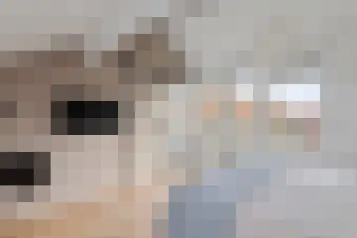Zonnedauw 51 Tiel thumbnail 39