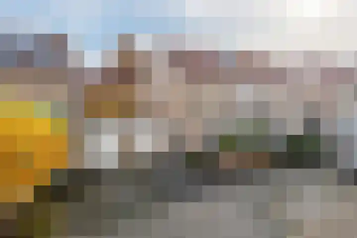 Zonnedauw 51 Tiel thumbnail 4