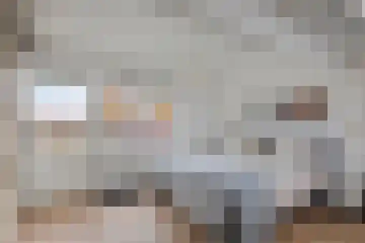 Zonnedauw 51 Tiel thumbnail 40