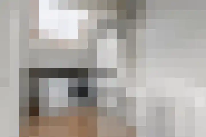 Zonnedauw 51 Tiel thumbnail 41