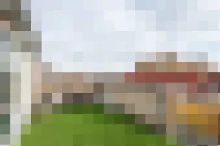 Zonnedauw 51 Tiel thumbnail 42