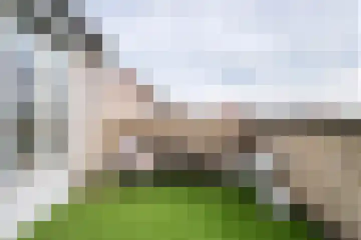 Zonnedauw 51 Tiel thumbnail 44