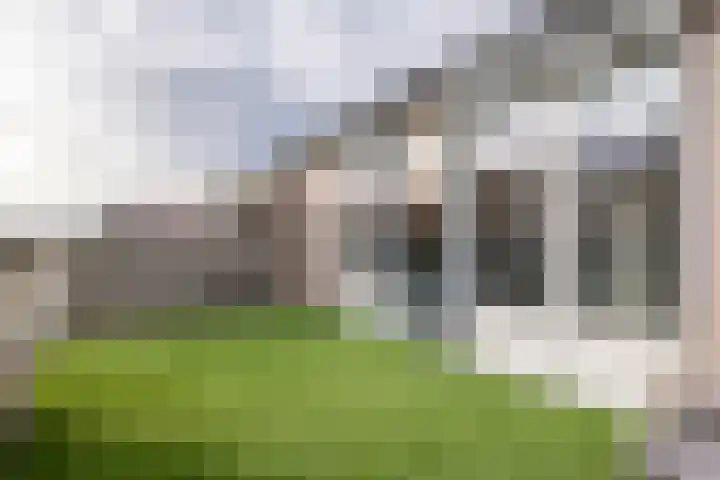 Zonnedauw 51 Tiel thumbnail 45