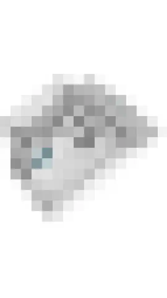 Zonnedauw 51 Tiel thumbnail 47