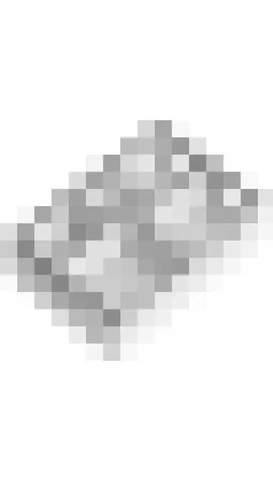 Zonnedauw 51 Tiel thumbnail 49