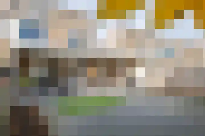 Zonnedauw 51 Tiel thumbnail 5